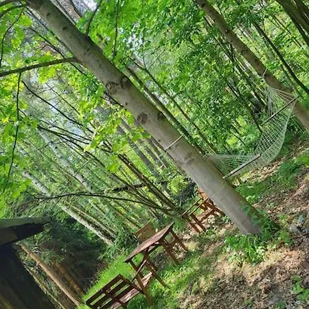 別荘 Cisza I - Dom Na Wylacznosc, Prywatny Las, 2 Pokoje, Polanica Zdroj シュチトナ