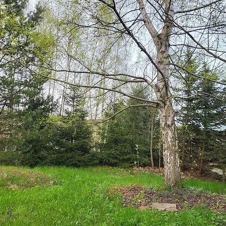 Cisza I - Dom Na Wylacznosc, Prywatny Las, 2 Pokoje, Polanica Zdroj 別荘 *