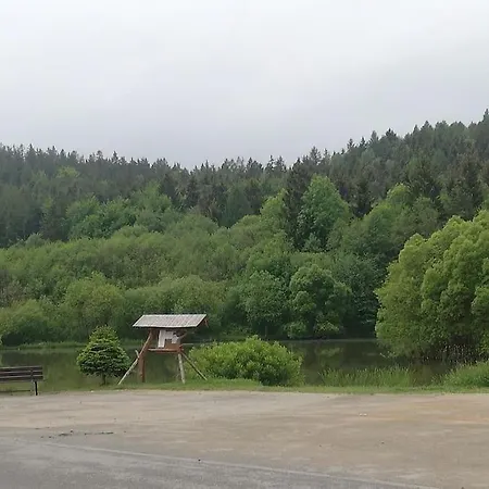 別荘 Cisza I - Dom Na Wylacznosc, Prywatny Las, 2 Pokoje, Polanica Zdroj シュチトナ