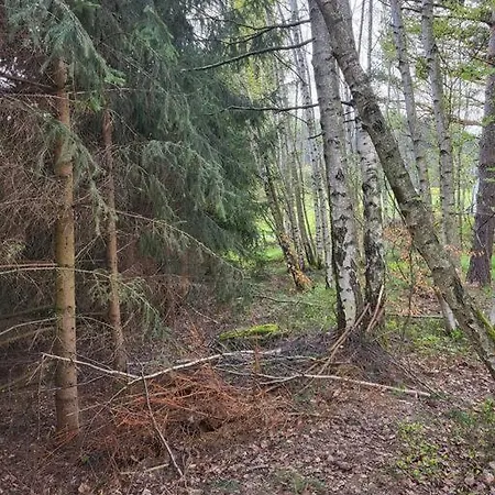 Cisza I - Dom Na Wylacznosc, Prywatny Las, 2 Pokoje, Polanica Zdroj Ferienhaus