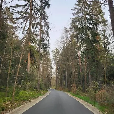 בית נופש Cisza I - Dom Na Wylacznosc, Prywatny Las, 2 Pokoje, Polanica Zdroj שצ'צ'יטנה (Szczytna)