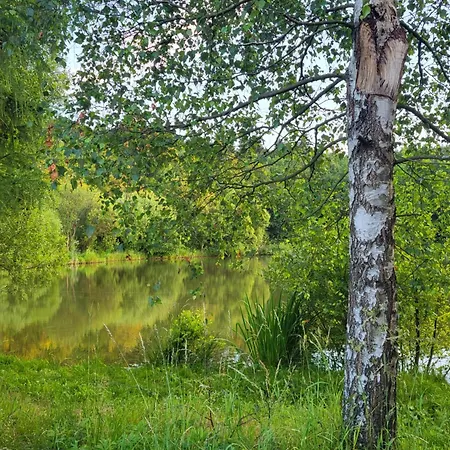 別荘 Cisza I - Dom Na Wylacznosc, Prywatny Las, 2 Pokoje, Polanica Zdroj