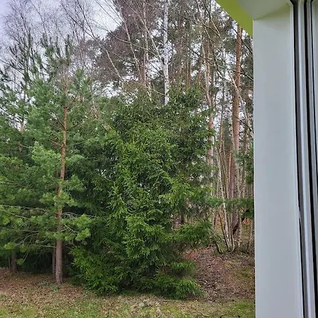 Cisza I - Dom Na Wylacznosc, Prywatny Las, 2 Pokoje, Polanica Zdroj シュチトナ