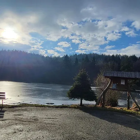 別荘 Cisza I - Dom Na Wylacznosc, Prywatny Las, 2 Pokoje, Polanica Zdroj