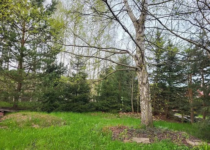 Cisza I - Dom Na Wylacznosc, Prywatny Las, 2 Pokoje, Polanica Zdroj Ferienhaus *