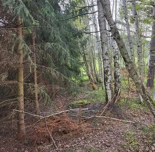 Cisza I - Dom Na Wylacznosc, Prywatny Las, 2 Pokoje, Polanica Zdroj Ferienhaus