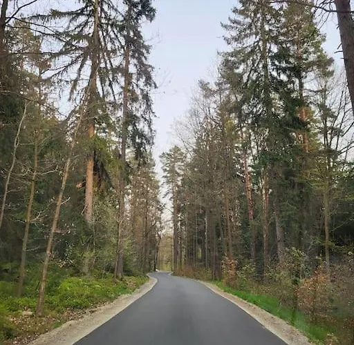 Ferienhaus Cisza I - Dom Na Wylacznosc, Prywatny Las, 2 Pokoje, Polanica Zdroj Szczytna