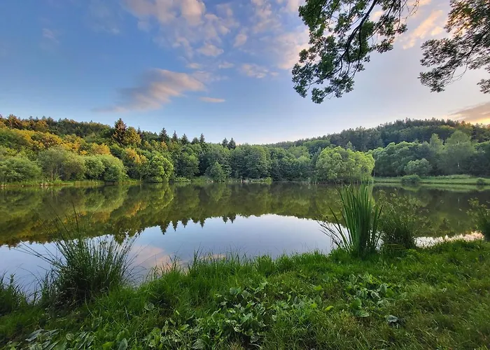 Ferienhaus Cisza I - Dom Na Wylacznosc, Prywatny Las, 2 Pokoje, Polanica Zdroj *