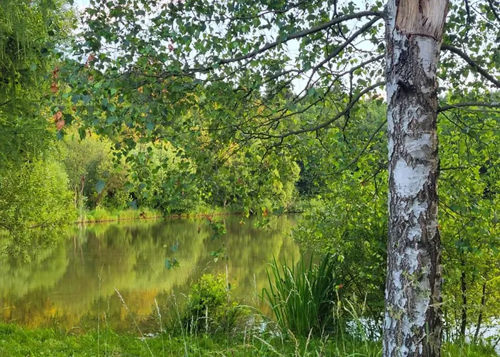 Ferienhaus Cisza I - Dom Na Wylacznosc, Prywatny Las, 2 Pokoje, Polanica Zdroj