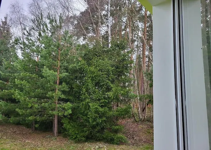 Cisza I - Dom Na Wylacznosc, Prywatny Las, 2 Pokoje, Polanica Zdroj Szczytna